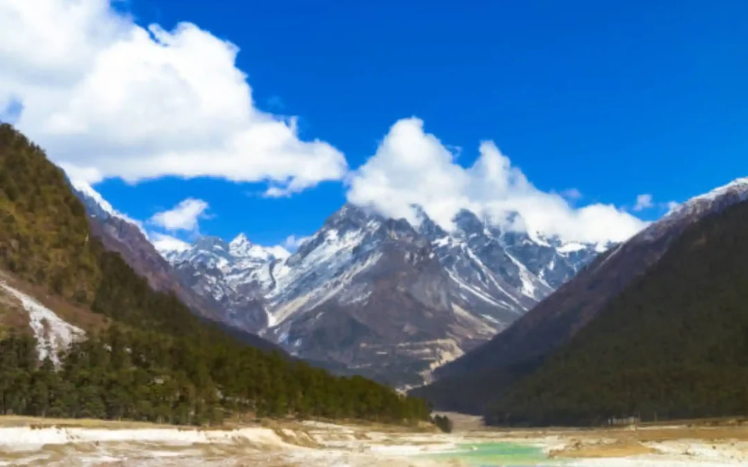 Best Hotels in Gangtok for Families – Comfort, Location & Pure Veg Dining