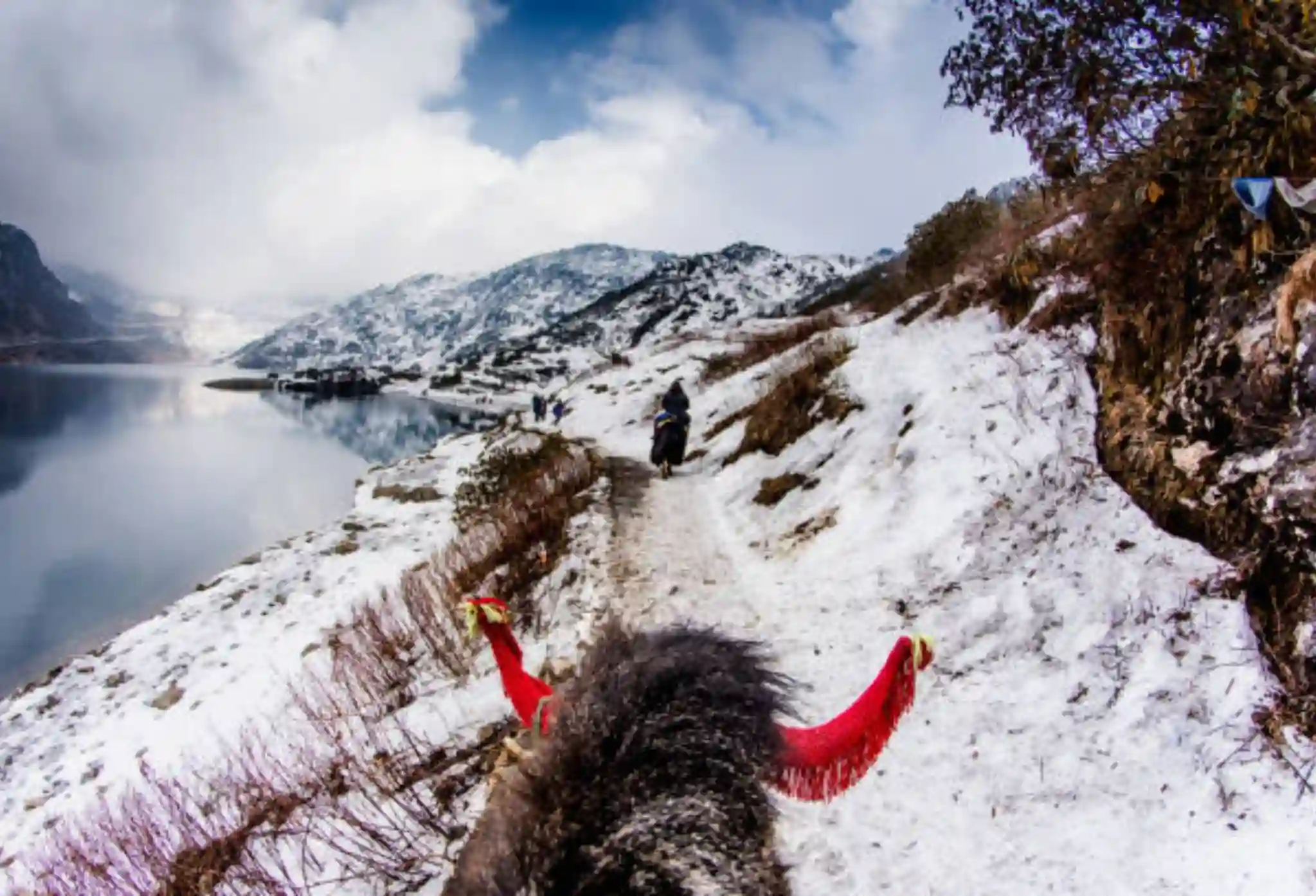 Romantic Escapes: Best Hotels in Gangtok for Honeymoon with Mountain Views