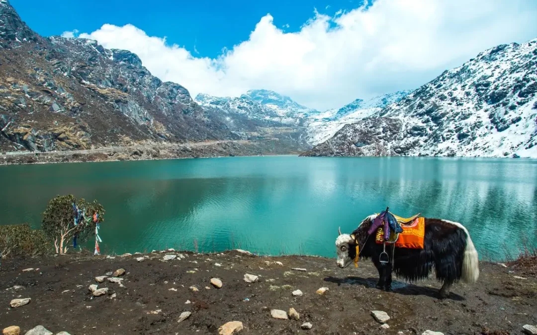 Best Time to Visit Gangtok for Snow, Sightseeing & Adventure