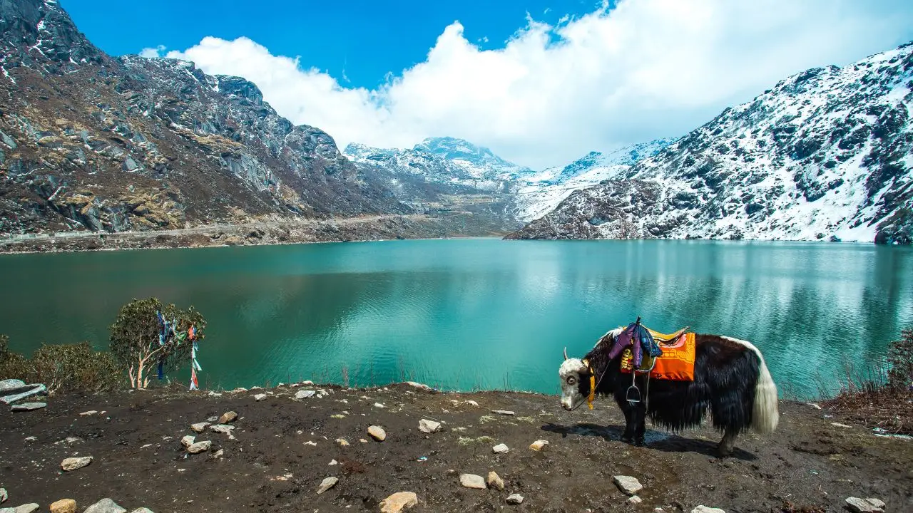 Best Time to Visit Gangtok